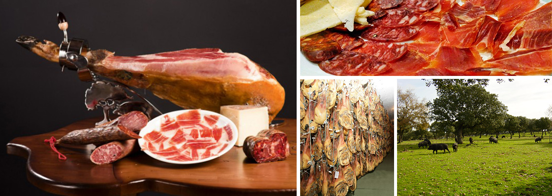 Embutidos y Jamones Españoles