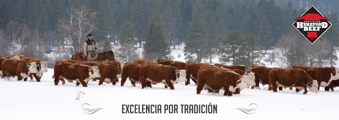 Certified Hereford Beef