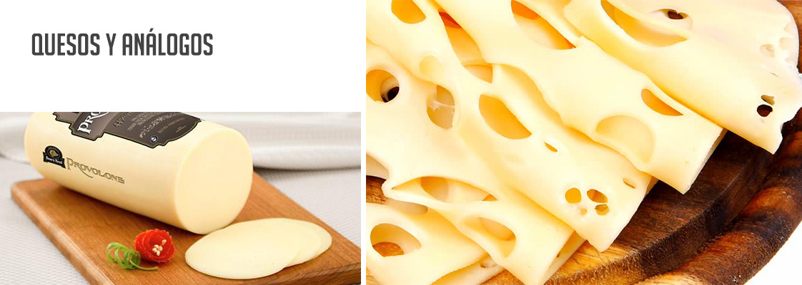 Quesos y Análogos